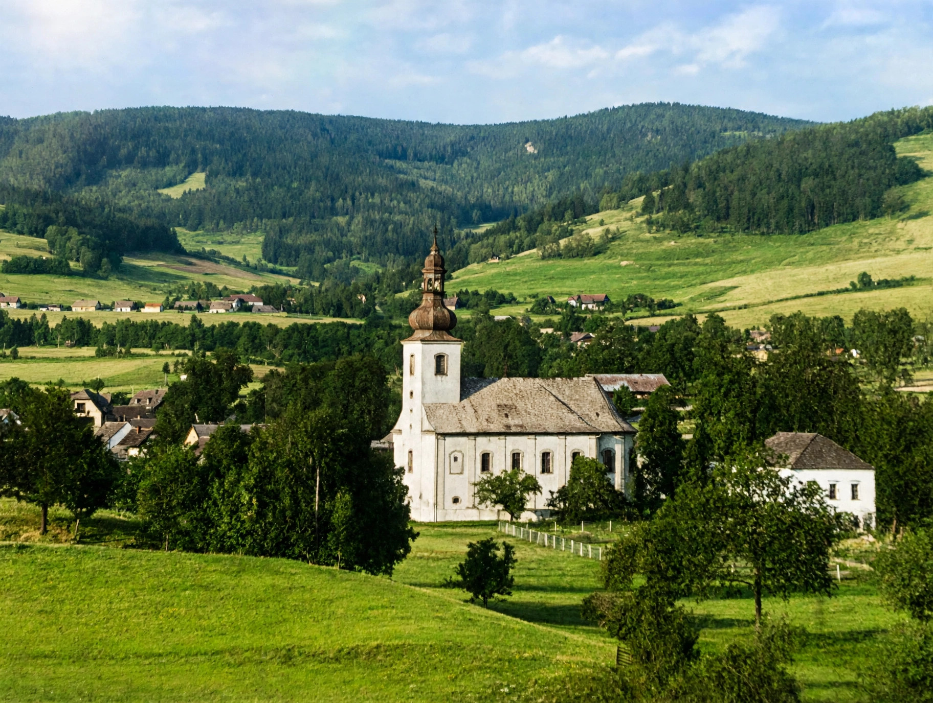 kolorováno
