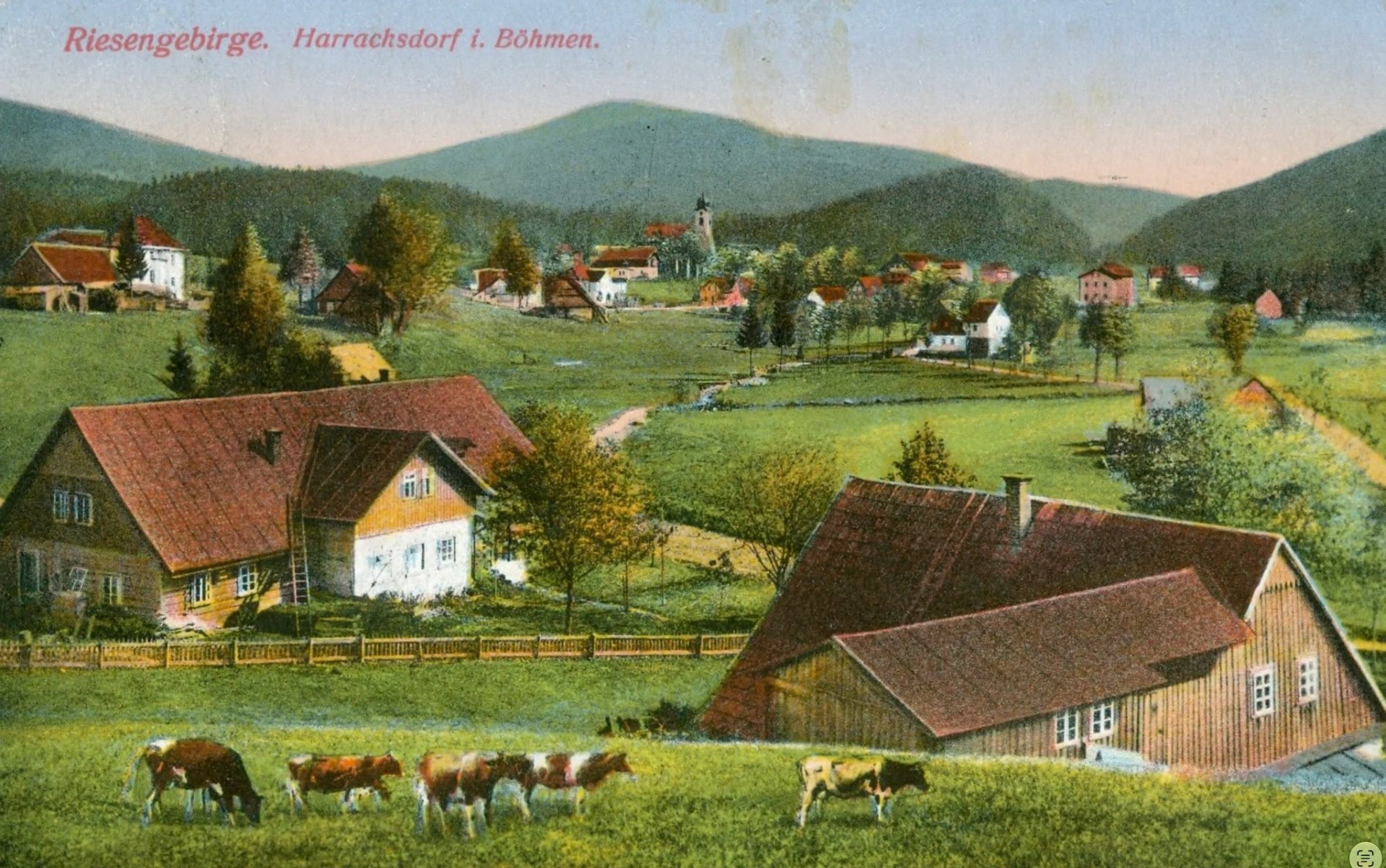 Harrachov - léto 1911🫶 https://www.harrachov-info.cz/live-kamera-harrachov Foto: Pension Schäfer: www.schafer.cz